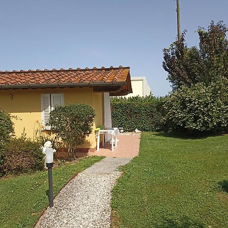 Piscina Privata Tiger Home, Toscana Capannori Dış mekan fotoğraf