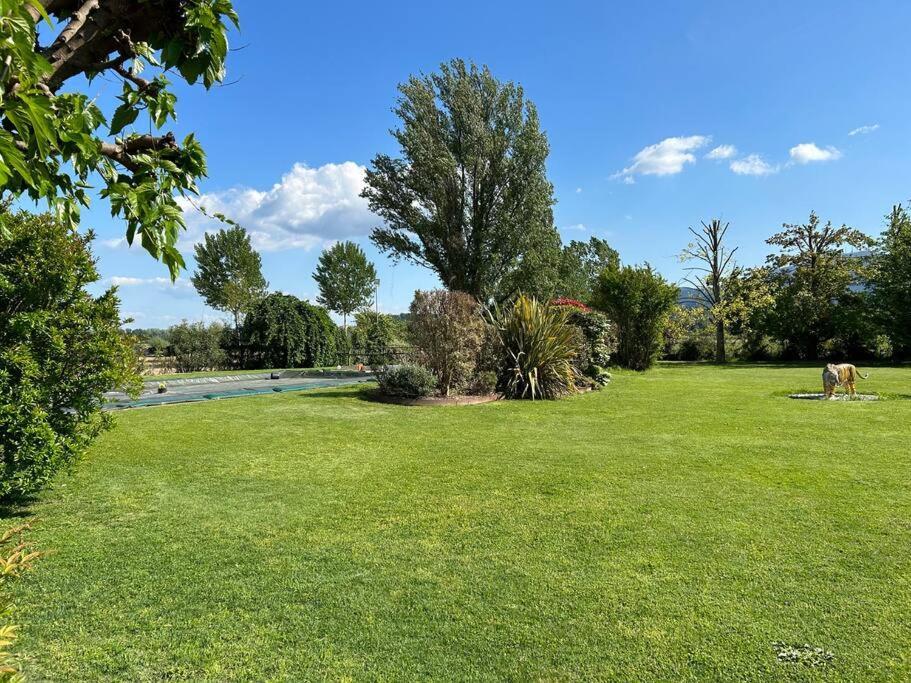 Piscina Privata Tiger Home, Toscana Capannori Dış mekan fotoğraf