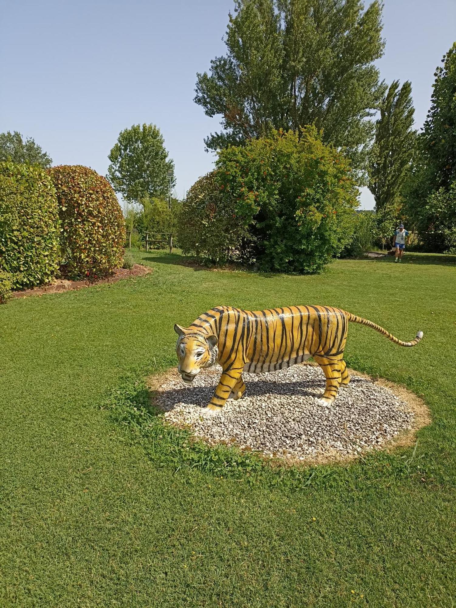 Piscina Privata Tiger Home, Toscana Capannori Dış mekan fotoğraf